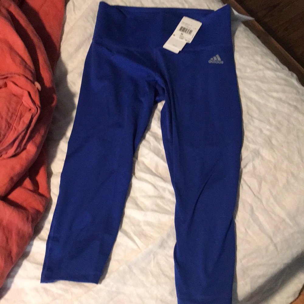 Royal Blue Adidas Workout Pants